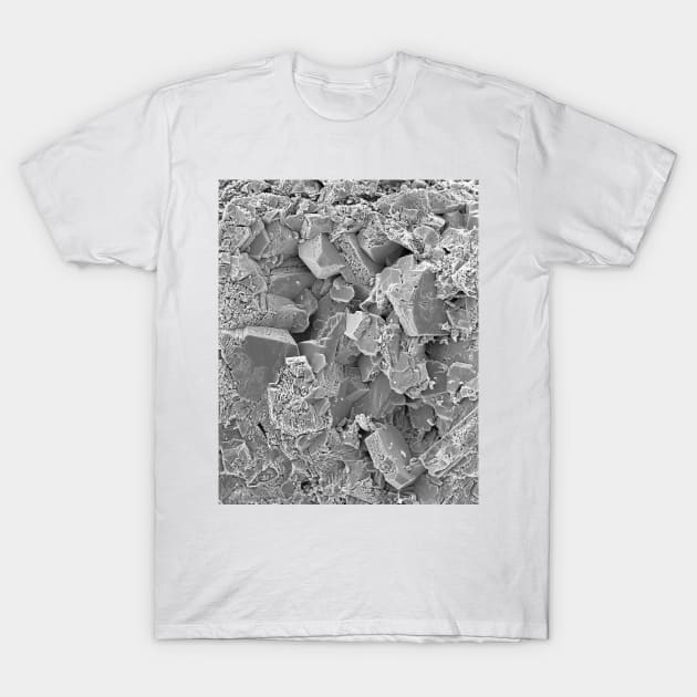 Kidney stone octahedral crystals, SEM (C036/9767) T-Shirt by SciencePhoto